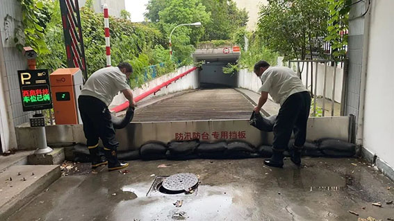 1726735078.jpg 3w.jpg