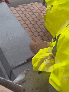 1726735102.gif 6.gif