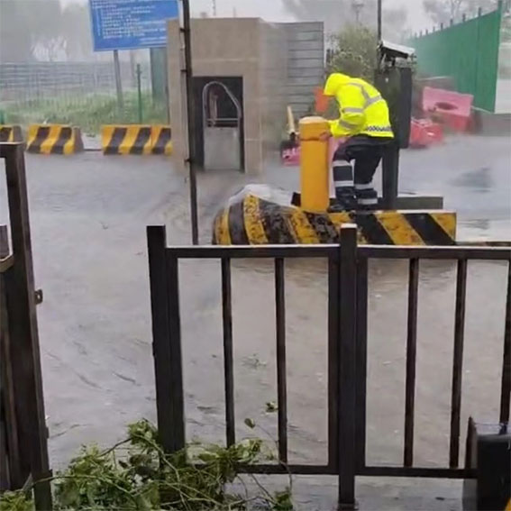 1726735122.jpg 7w.jpg