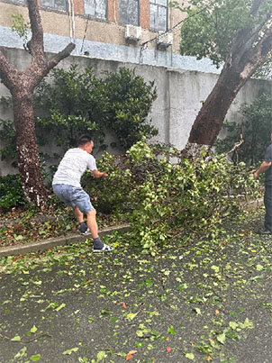 1726735196.jpg 13w.jpg