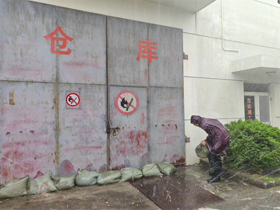 1726735524.jpg 19w.jpg