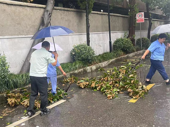 1726735572.jpg 21w.jpg