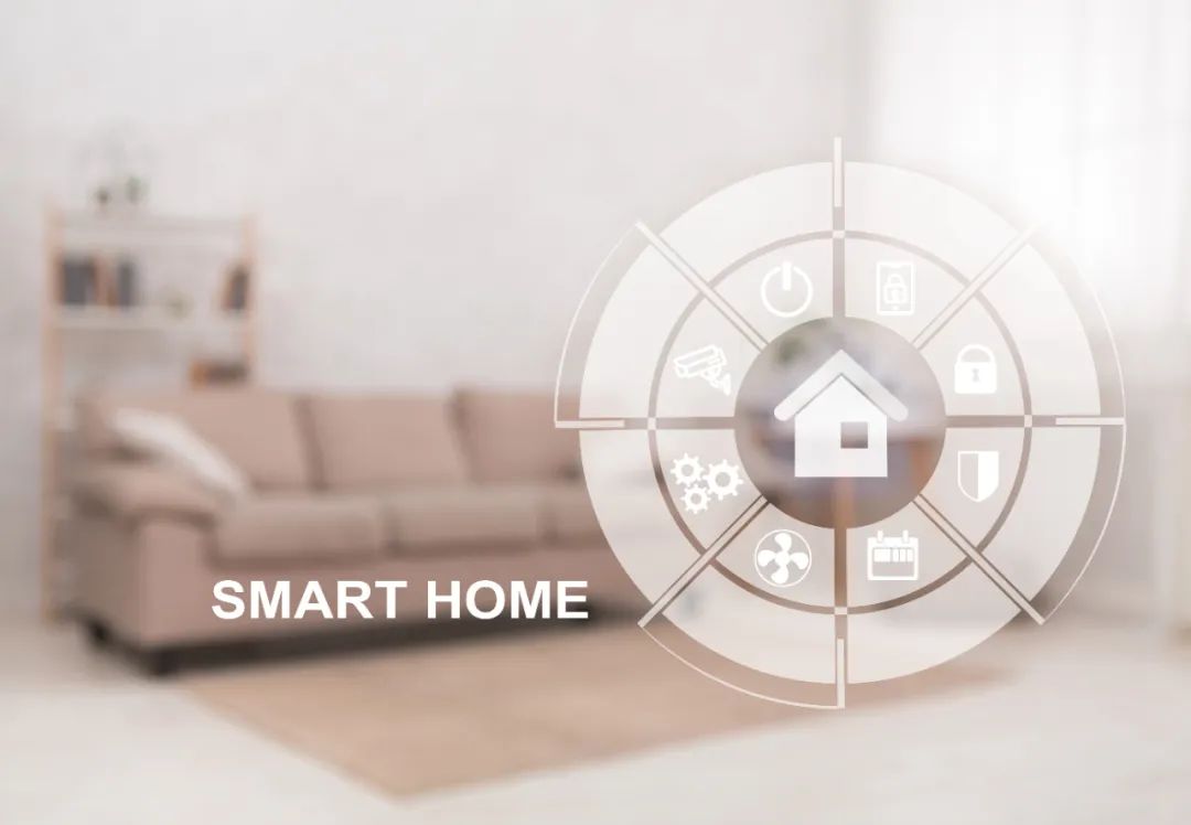 1736480017.jpg 1.jpg