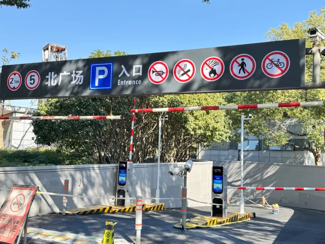 1737103775.jpg 6.jpg