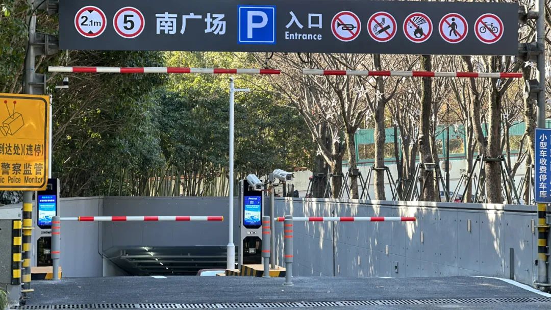 1737103785.jpg 7.jpg