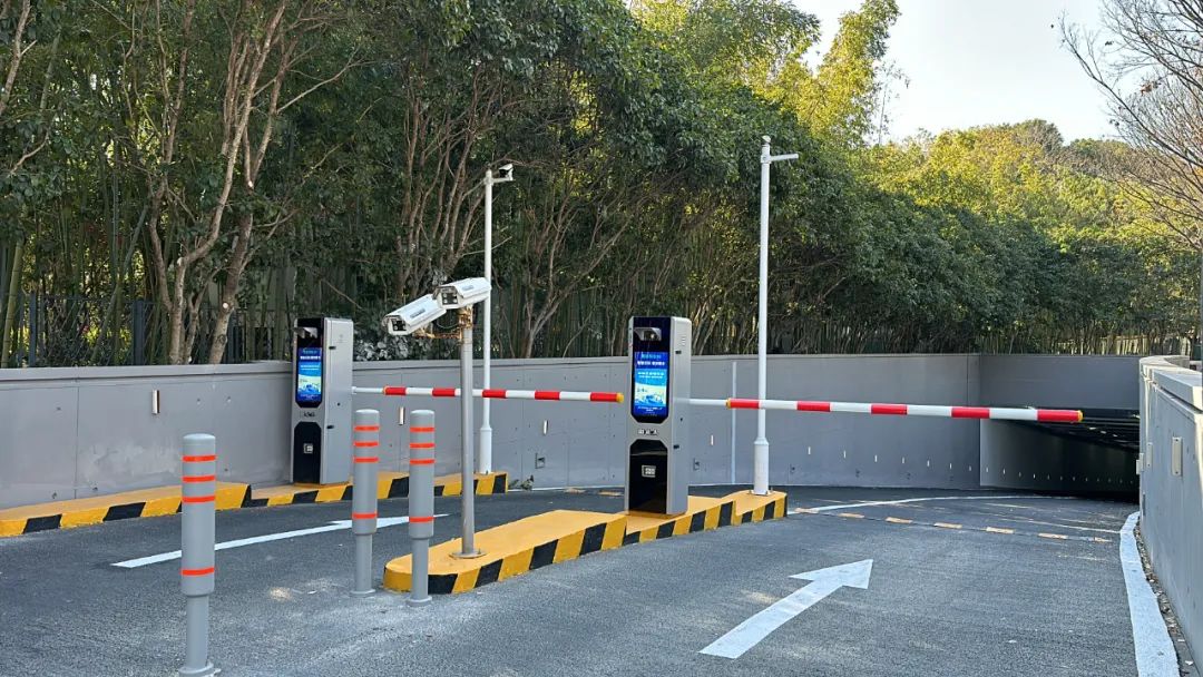 1737103795.jpg 8.jpg