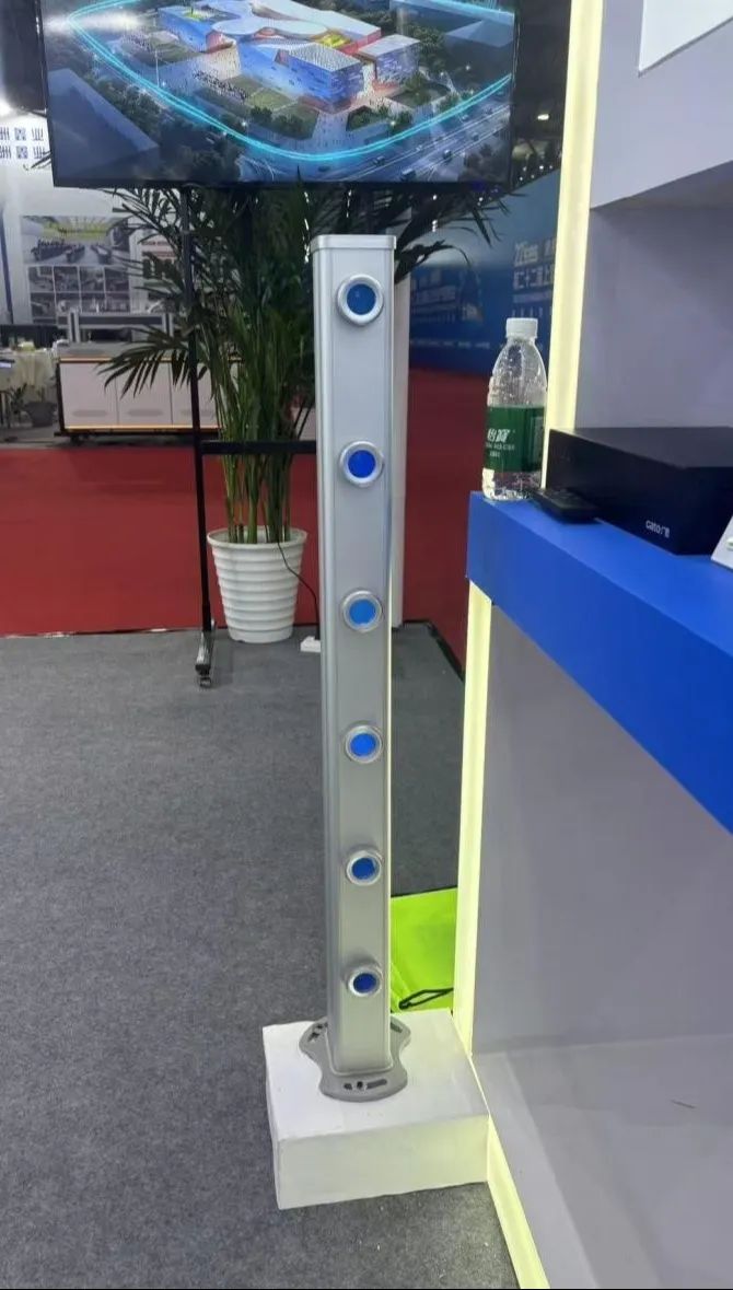 1749634371.jpg 17.jpg