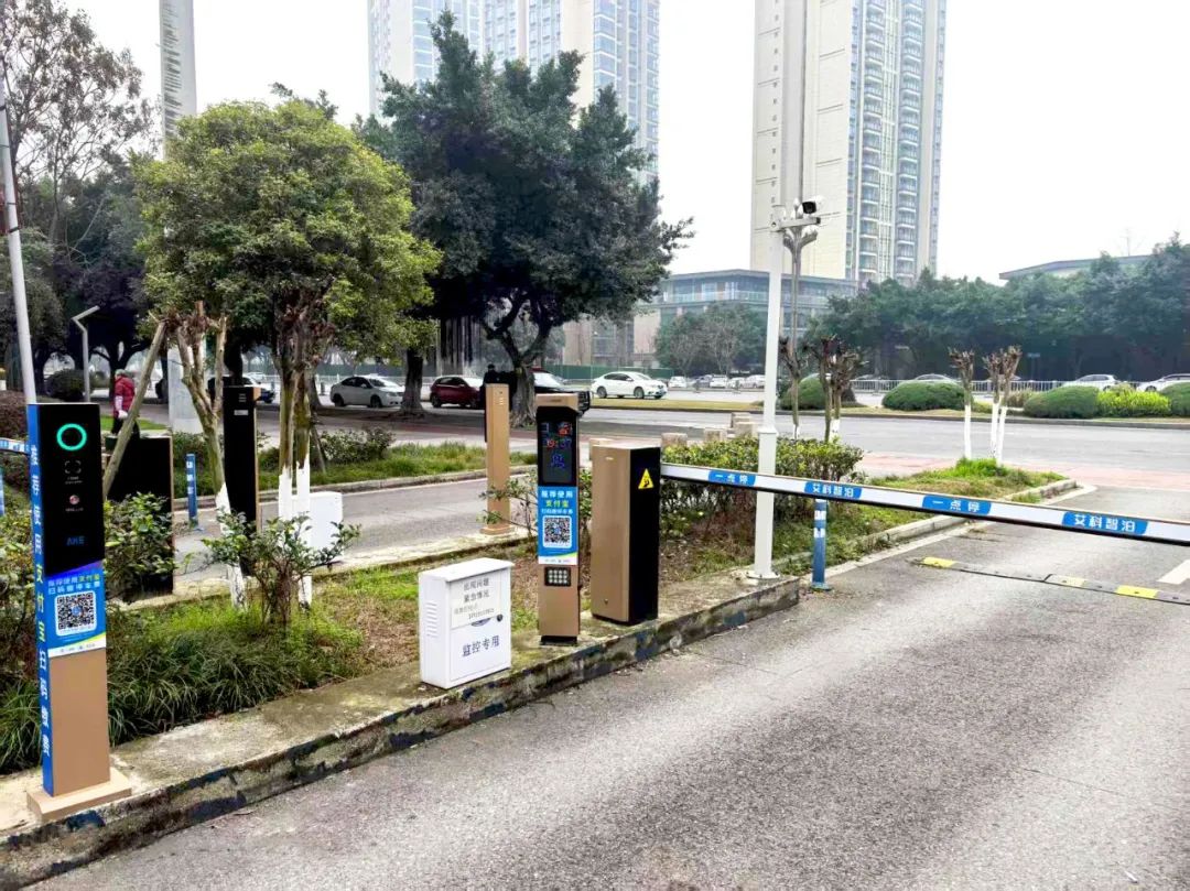 1753088450.jpg 3.jpg