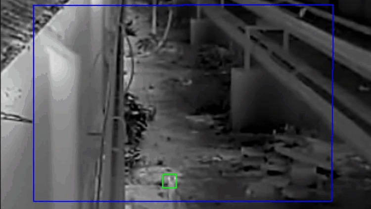 1753089109.gif 10.gif