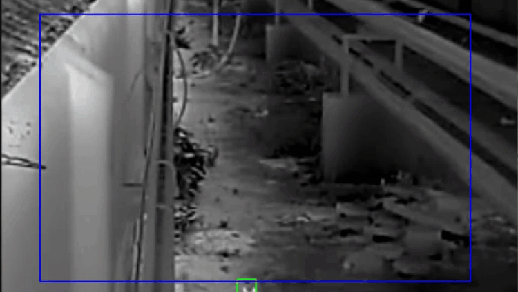 1753089121.gif 11.gif