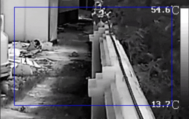 1753089144.gif 13.gif