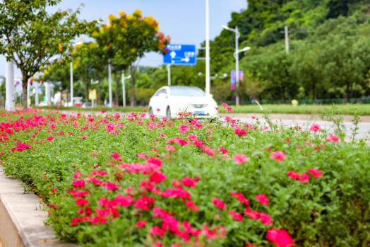 1753091646.png 14.png