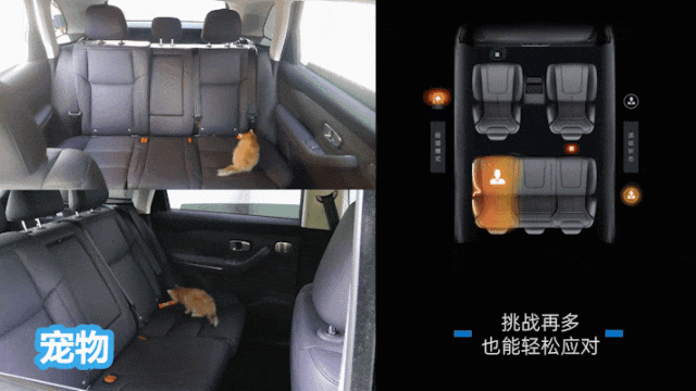 1755589690.gif 13.gif