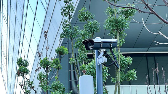 1665554506124731.jpg 2w.jpg