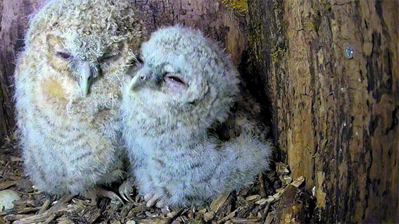 1686128359854740.jpg 2w.jpg