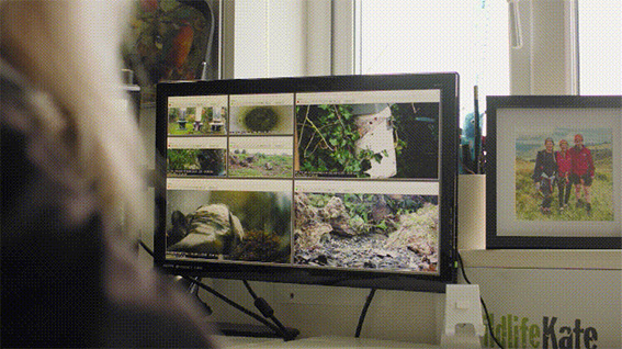 1686128424987062.jpg 4w.jpg