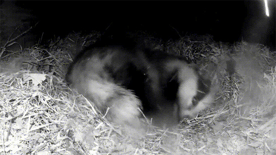 1686128563709034.jpg 5w.jpg