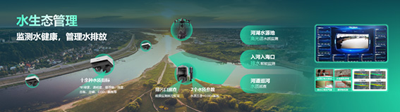 1689750203674437.jpg 6w.jpg