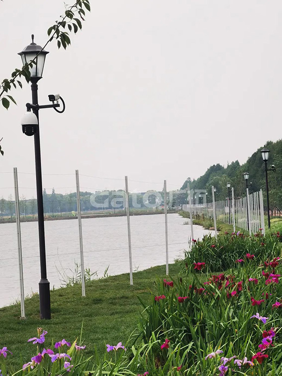 1690446500117562.jpg 2w.jpg