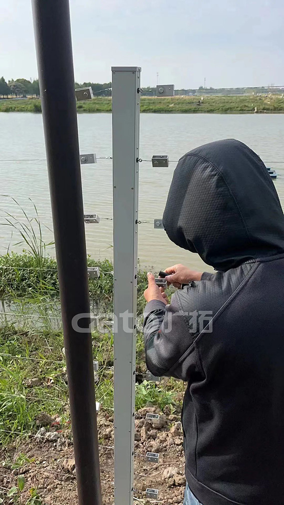 1690446516901601.jpg 3w.jpg