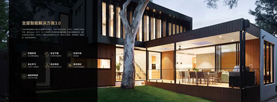 1691566954934435.jpg 6w.jpg