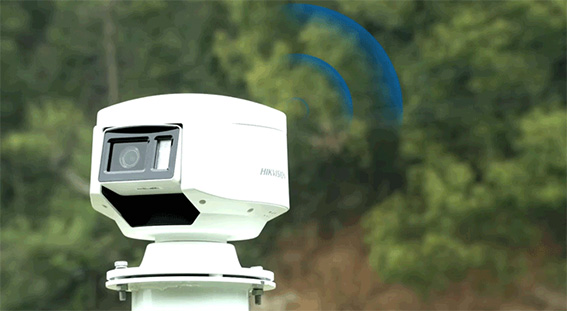 1692085085117407.jpg 7w.jpg