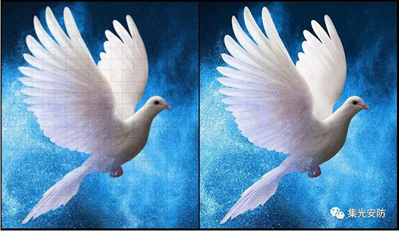 1692694174540522.jpg 14w.jpg