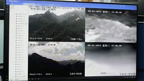 1694075463776379.jpg 保護游客與森林資源的安全?w.jpg