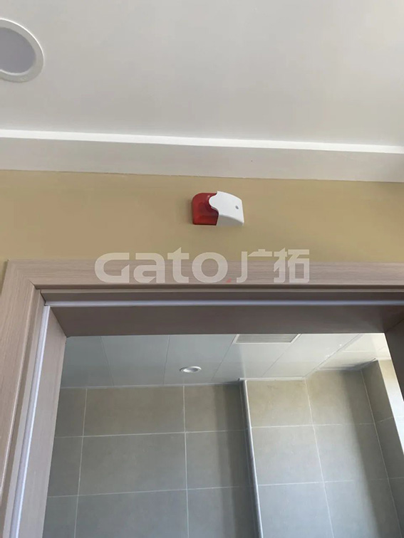 1702036510749226.jpg 10w.jpg