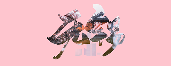 1702036846396408.png 11ws.png