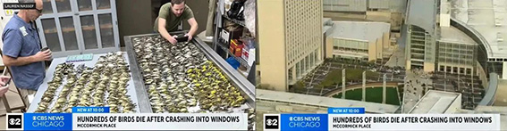 1712551742996400.jpg 微信圖片_20240408124207www.jpg