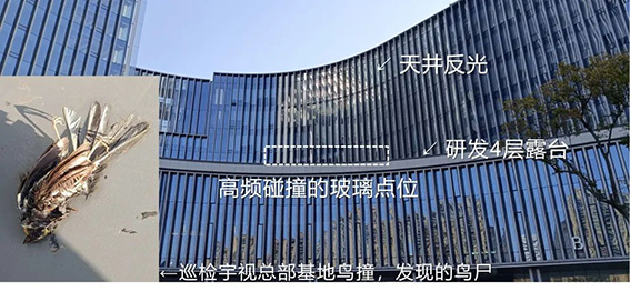 1712551773742556.jpg 3qw.jpg