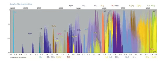 1715677805107786.jpg 2w.jpg