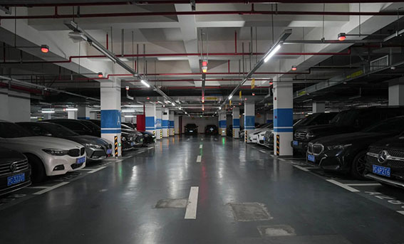 1718368495123544.jpg 11w.jpg