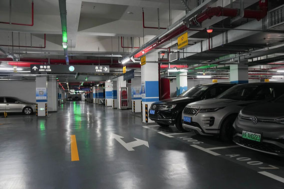 1718368501132537.jpg 12w.jpg